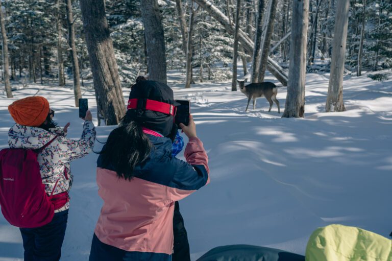 shiretoko-drift-ice09