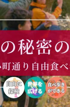 鎌倉の秘密の紅葉&「小町通り」自由食べ歩き/体験参加1名分