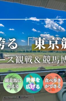 世界に誇る「東京競馬場」生レース観戦＆競馬博物館／体験参加1名分