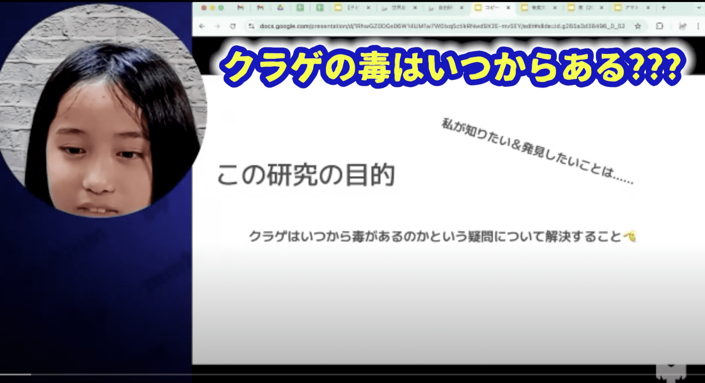 クラゲの毒はいつからあるのか？