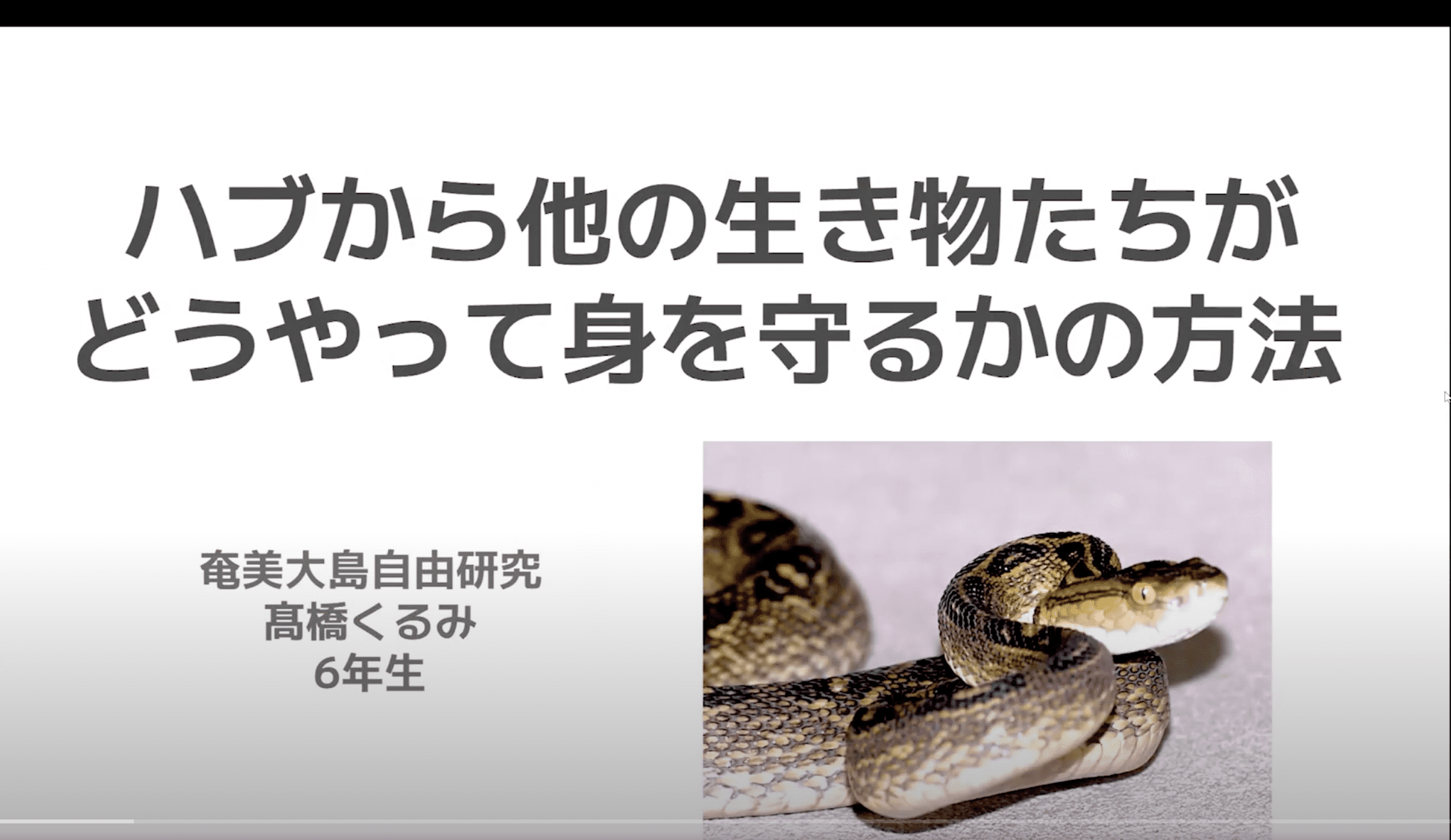 小動物はハブからどうやって身を守っているのか？